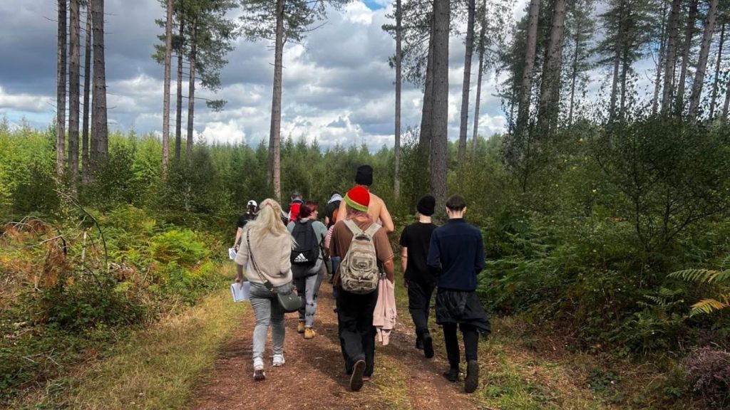 View of a group of young people from behind as they walk in the woodland towards a row of tall trees